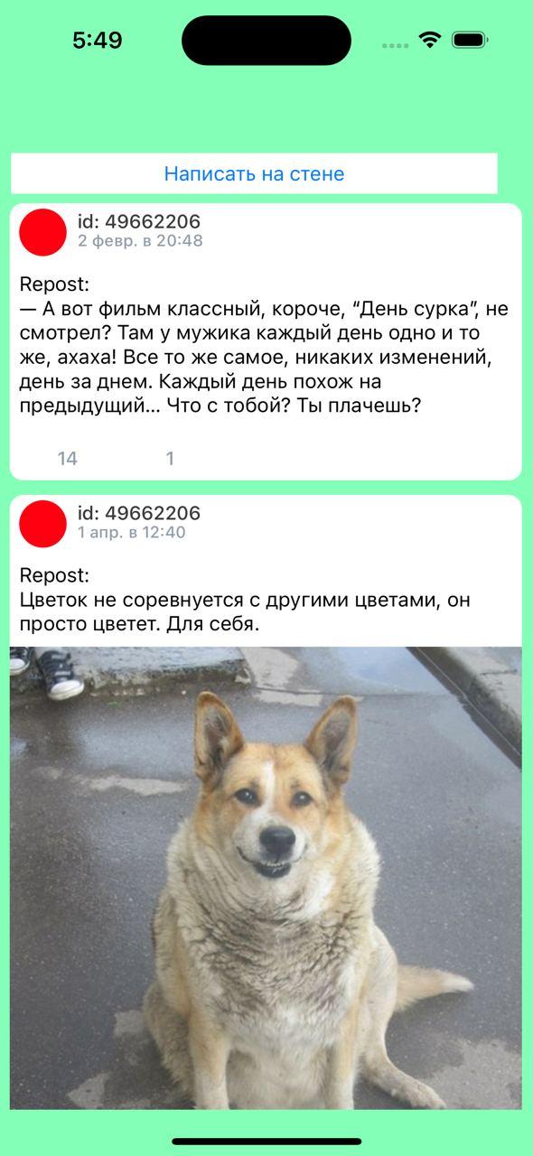 Посты на стене ВКонтакте с изображением собаки
