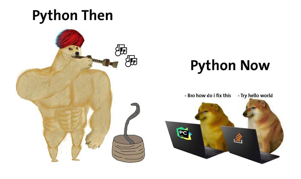 мем про Python-разработчиков тогда и сейчас