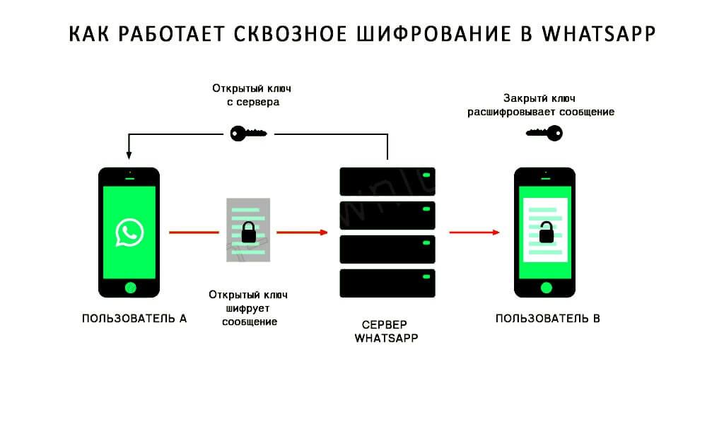 схема сквозного шифрования WhatsApp