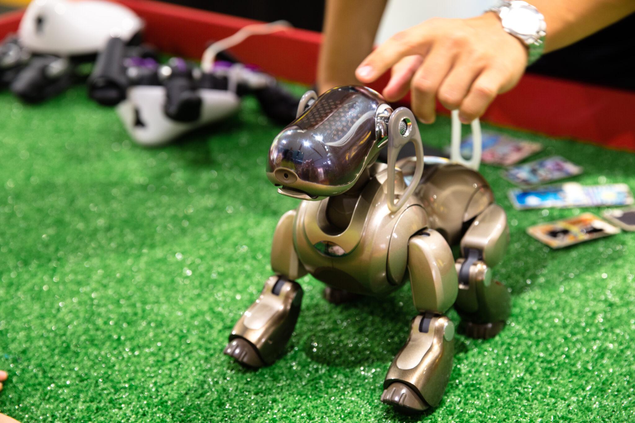 Робот собака на выставке роботов. Вторжение роботов. Покажи настоящих роботов