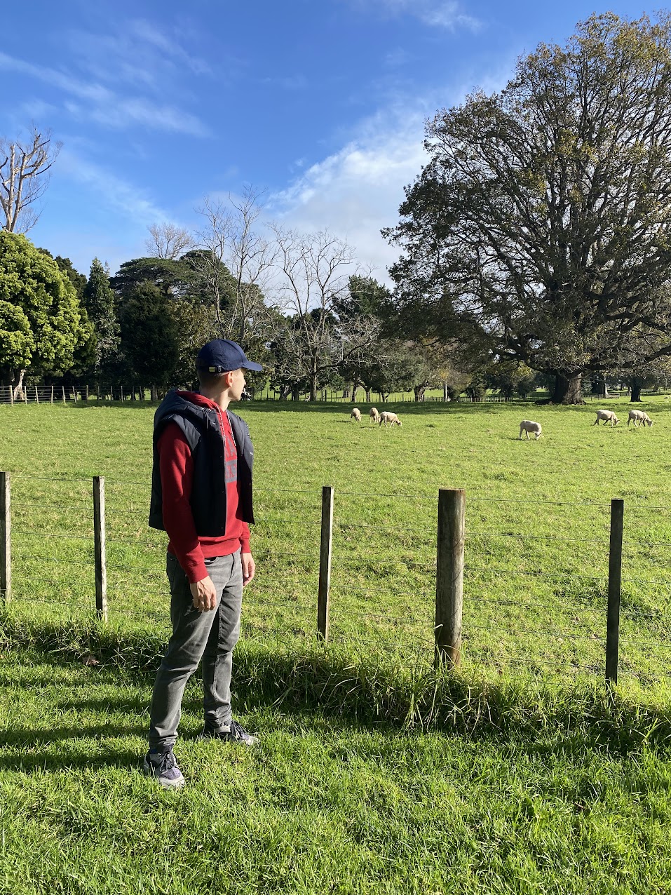 Прогулки по Новой Зеландии