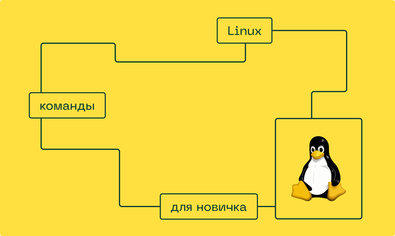 Основные Linux-команды для новичка