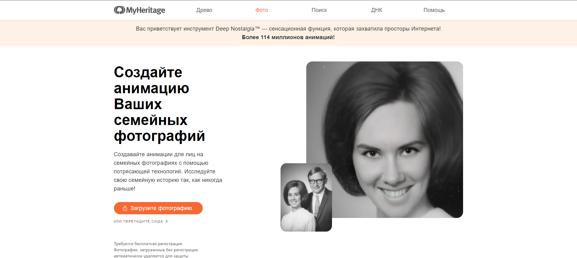 MyHeritage 