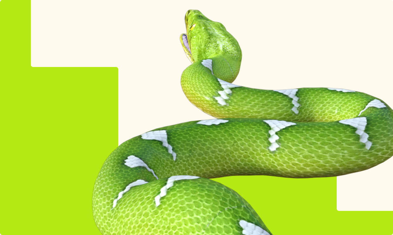 ТОП-6 задачников и тренажеров по Python для специалистов разных уровней